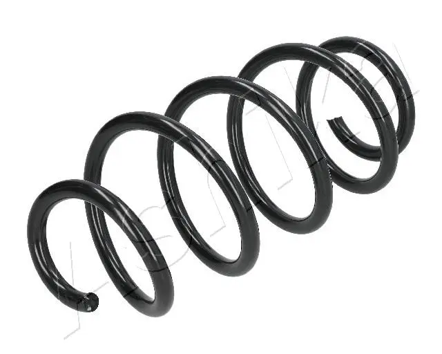 Suspension Spring (ZCA1011A)
