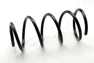 Suspension Spring (ZCA2171C)