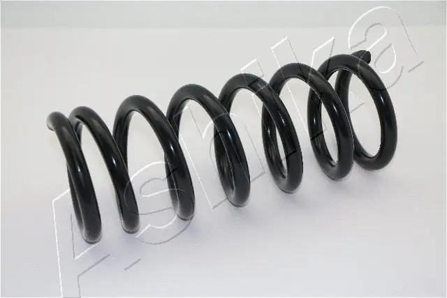 Suspension Spring (ZCA3094A)