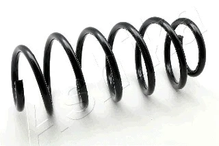 Suspension Spring (ZCA1015H)