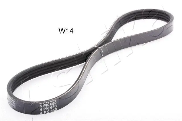 V-Ribbed Belt (96-0W-W14)