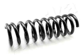 Suspension Spring (ZCA2873A)