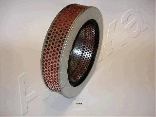 Air Filter (20-07-704)
