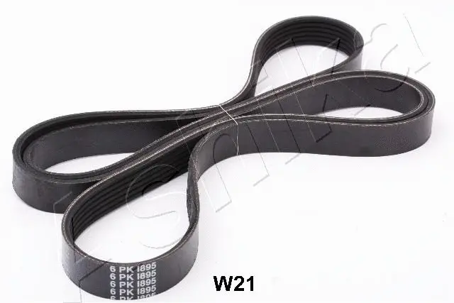 V-Ribbed Belt (96-0W-W21)