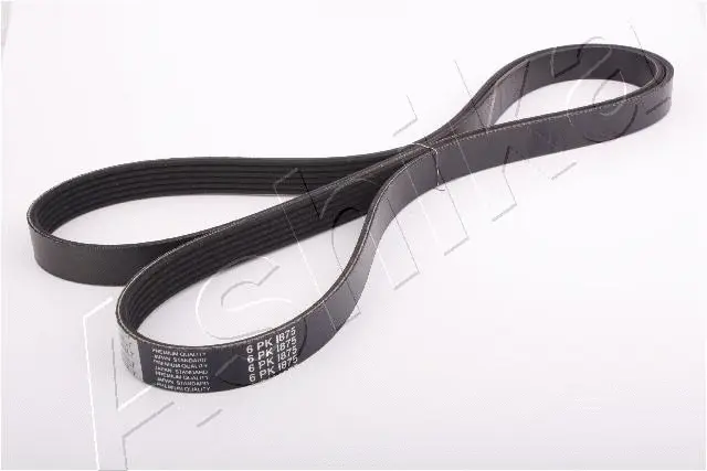 V-Ribbed Belt (96-0W-W15)