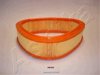 Air Filter (20-04-494)