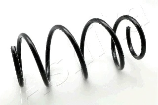 Suspension Spring (ZCA4147A)