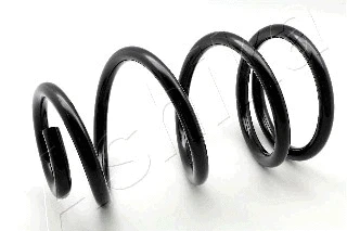 Suspension Spring (ZCA2841C)