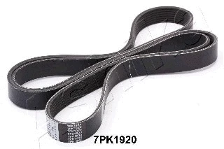 V-Ribbed Belt (112-7PK1920)