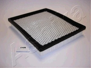 Air Filter (20-00-010)