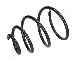 Suspension Spring (ZCA1121A)