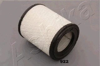 Air Filter (20-09-922)