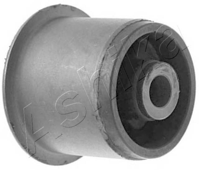 Mounting, differential (GOM-1261)