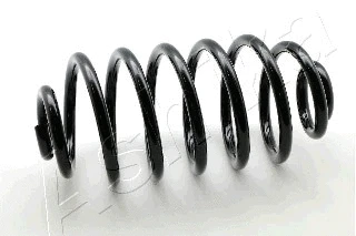 Suspension Spring (ZCA6979X)