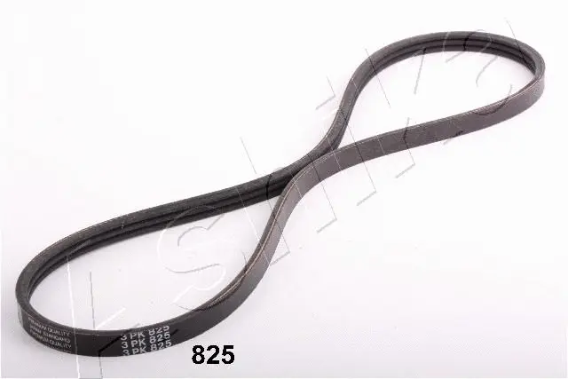 V-Ribbed Belt (96-08-825)