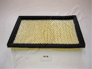 Air Filter (20-03-321)