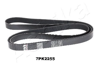 V-Ribbed Belt (112-7PK2255)