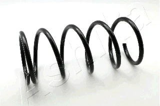 Suspension Spring (ZCA2987A)