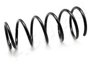 Suspension Spring (ZCA6795G)