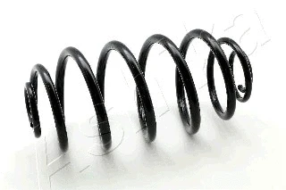 Suspension Spring (ZCA5419J)