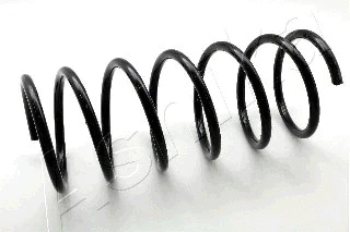 Suspension Spring (ZCA1627A)