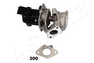 EGR Valve (150-03-300)