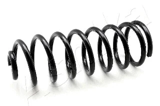 Suspension Spring (ZCA5476C)