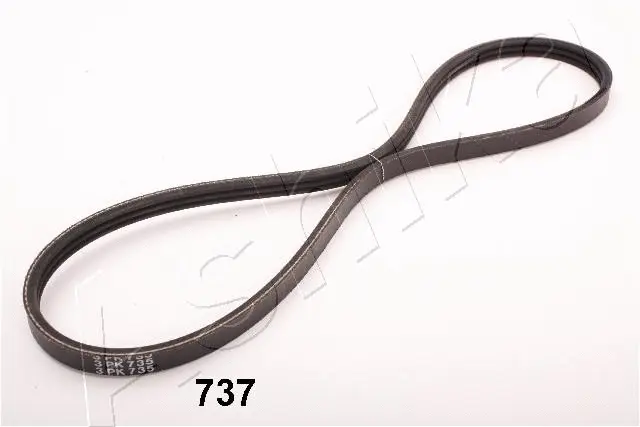 V-Ribbed Belt (96-07-737)