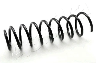 Suspension Spring (ZCA6719C)