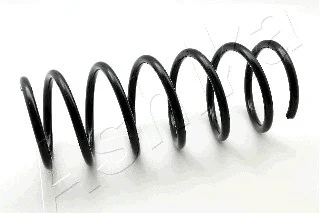 Suspension Spring (ZCA1304H)