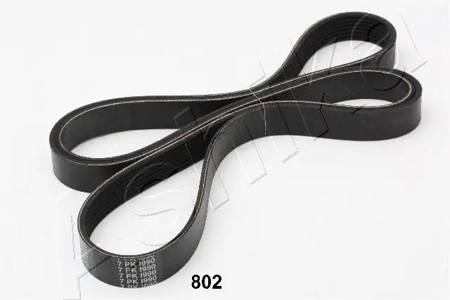 V-Ribbed Belt (96-08-802)