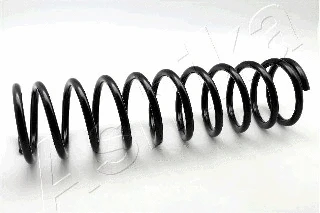 Suspension Spring (ZCA1449A)