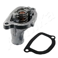 Thermostat, coolant (38-FI-FI04)