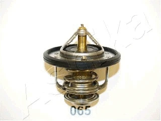 Thermostat, coolant (22-065)