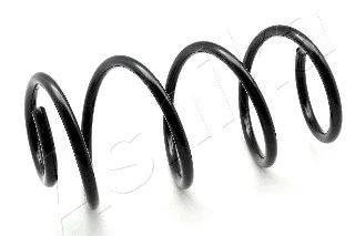 Suspension Spring (ZCA3480A)