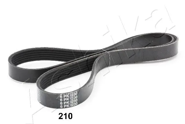 V-Ribbed Belt (96-02-210)