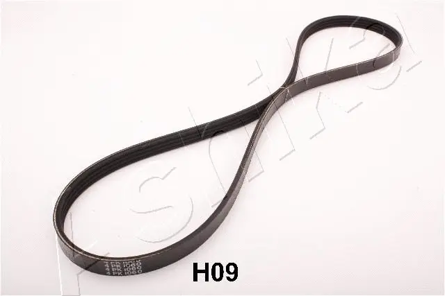 V-Ribbed Belt (96-0H-H09)