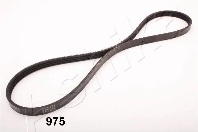 V-Ribbed Belt (96-09-975)