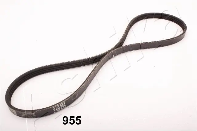 V-Ribbed Belt (96-09-955)