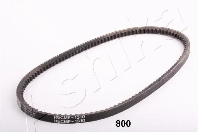 V-Belt (94-08-800)