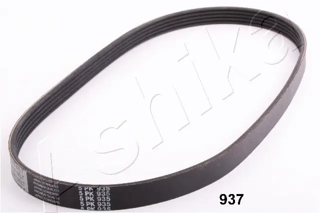 V-Ribbed Belt (96-09-937)