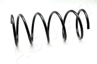 Suspension Spring (ZCA1125A)
