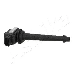 Ignition Coil (78-01-110)