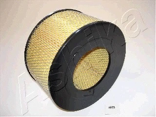 Air Filter (20-02-287)