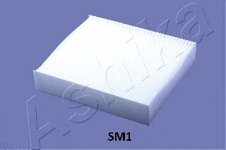 Filter, cabin air (21-SM-SM1)