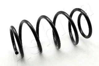 Suspension Spring (ZCA1006H)
