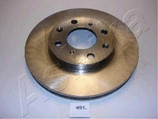 Brake Disc (60-04-491)
