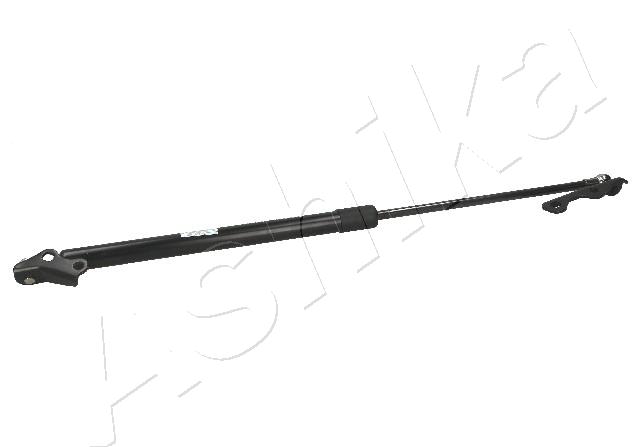 Gas Spring, boot/cargo area (ZSA20049)