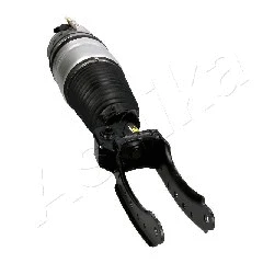 Air Suspension Strut