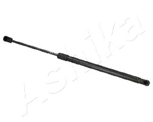 Gas Spring, boot/cargo area (ZSAW0016)